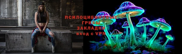 соль ск Новокубанск