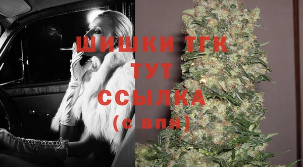 скорость Новозыбков