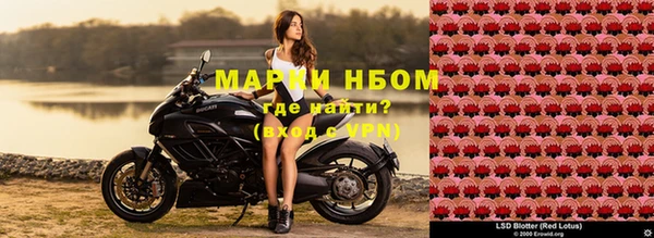 скорость Новозыбков