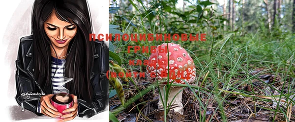 скорость Новозыбков