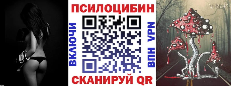 Купить закладки  Кемерово  Псилоцибиновые грибы ЛСД 